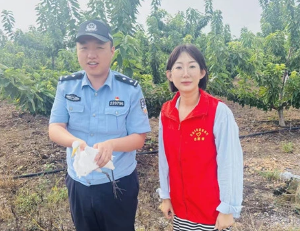 中白鹭垂翼遇险 多方接力救助