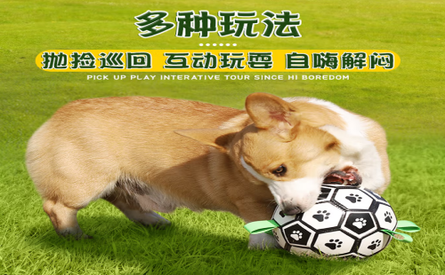 赛普达