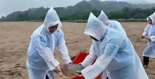 江中惊现“西游记神兽”,渔民一个电话,救下国家一级保护动物 江中惊现“西游记神兽”,渔民一个电话,救下国家一级保护动物