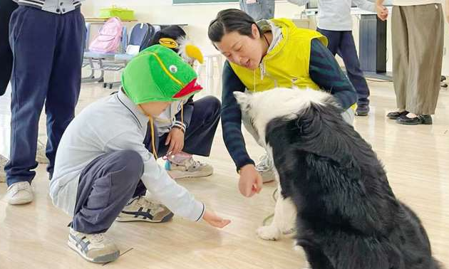 治疗犬打开自闭症儿童的心扉,助力儿童群体康复 治疗犬打开自闭症儿童的心扉,助力儿童群体康复