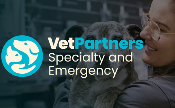 VetPartners宠物绝育手术前后注意事项
