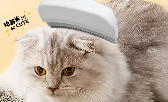 宠物打毛刀品牌推荐哪个?憨贝豆让养宠家庭清洁更轻松 宠物打毛刀品牌推荐哪个?憨贝豆让养宠家庭清洁更轻松