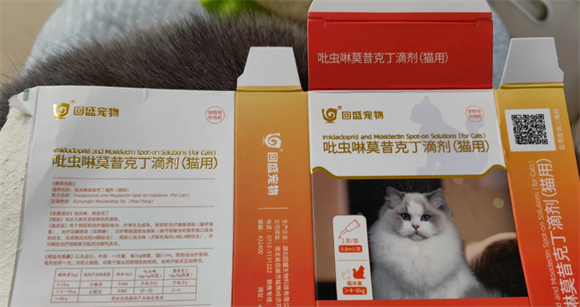 猫猫驱虫滴剂选对还得用对!回盛宠物驱虫滴剂如何正确使用 猫猫驱虫滴剂选对还得用对!回盛宠物驱虫滴剂如何正确使用