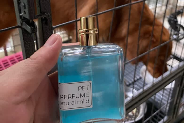 呆呆宠宠物香水怎么样 呆呆宠宠物香水怎么样