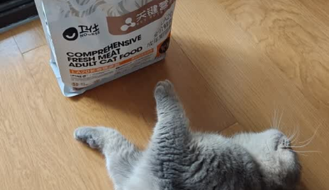 2025年十大放心猫粮国产推荐——卫仕LA20,守护猫咪健康长寿 2025年十大放心猫粮国产推荐——卫仕LA20,守护猫咪健康长寿