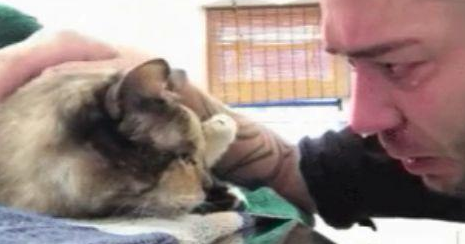 主人与猫分别几年,再相遇却是最后一次见面,猫咪的反应令人泪目 主人与猫分别几年,再相遇却是最后一次见面,猫咪的反应令人泪目