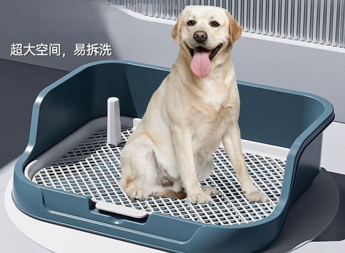 狗狗专用厕所推荐——疯狂的主人高围栏狗厕所超实用！