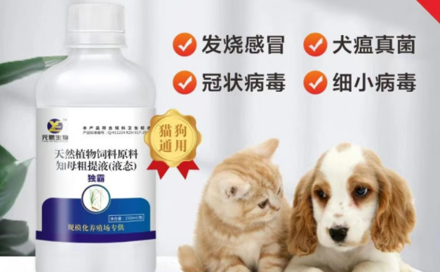 猫狗抗病毒药物选哪个?元恩生物独霸,呵护爱宠健康 猫狗抗病毒药物选哪个?元恩生物独霸,呵护爱宠健康