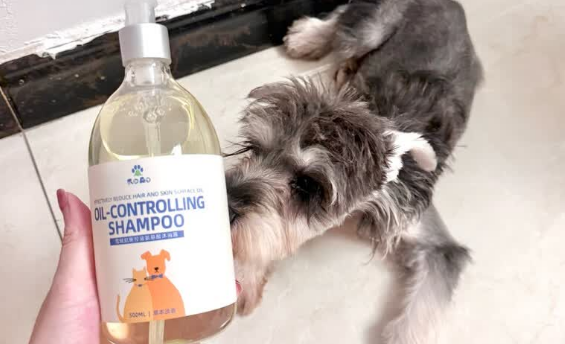 爪趣森活沐浴露在哪买 爪趣森活沐浴露在哪买