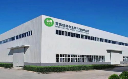 纽瑟奇