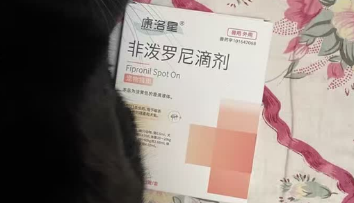 体外驱虫药有哪些？康洛星非泼罗尼滴剂，值得关注