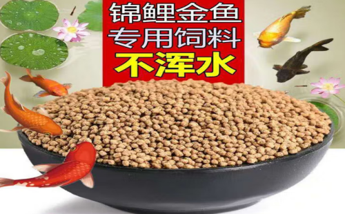 直隶戏水轩