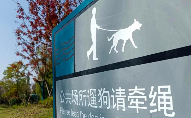 小区里金毛犬未拴绳打架追逐,八旬老人受惊摔倒致伤残十级 小区里金毛犬未拴绳打架追逐,八旬老人受惊摔倒致伤残十级