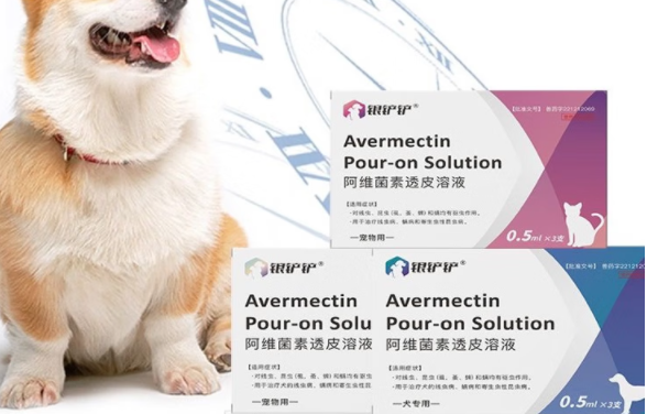狗狗专用驱虫药有哪些？银铲铲帮助狗狗快速驱虫