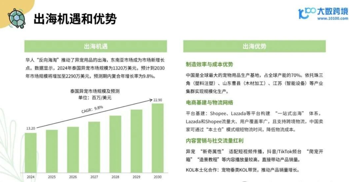 从消费人群到品牌，2025年小宠异宠用品市场浅析