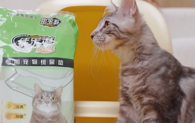 宠物尿垫十大排行榜,佳乐滋宠物尿垫稳居前列! 宠物尿垫十大排行榜,佳乐滋宠物尿垫稳居前列!
