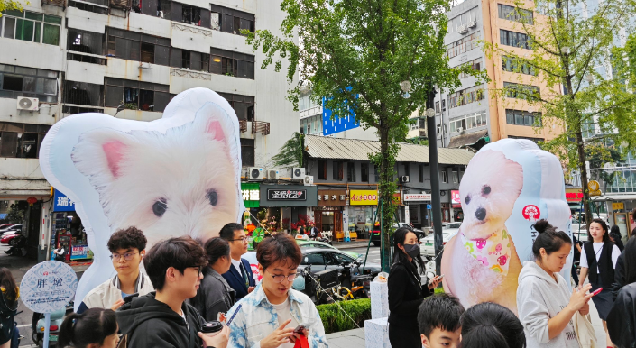滴滴上线宠物友好地图已合作超100家宠物友好门店 滴滴上线宠物友好地图已合作超100家宠物友好门店