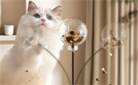 GPN宠物用品漏食转盘，猫咪玩到停不下来​
