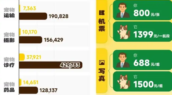 宠物写真上千元,比人贵一倍,谁在为情感“氪金”? 宠物写真上千元,比人贵一倍,谁在为情感“氪金”?