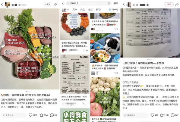 当宠物吃上39.9元的便当：鲜食成新“风口”，已有品牌开启0元加盟