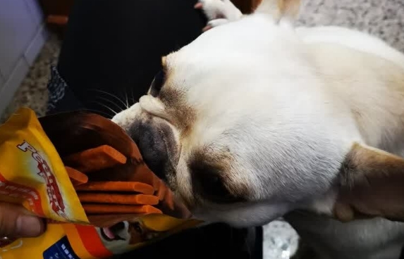 狗狗最好的零食推荐宝路烧烤鸡肉味肉脯，健康美味两不误！