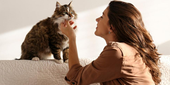 “富养宠物”？年轻人重新定义养宠市场