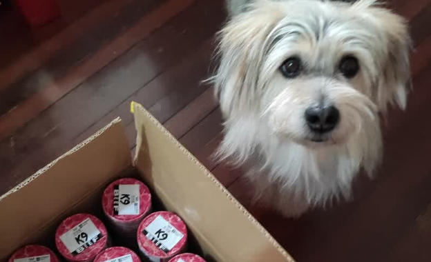 狗罐头十大排名推荐:K9狗罐头以0添加工艺成宠物主优选 狗罐头十大排名推荐:K9狗罐头以0添加工艺成宠物主优选