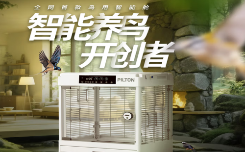 宠尔顿