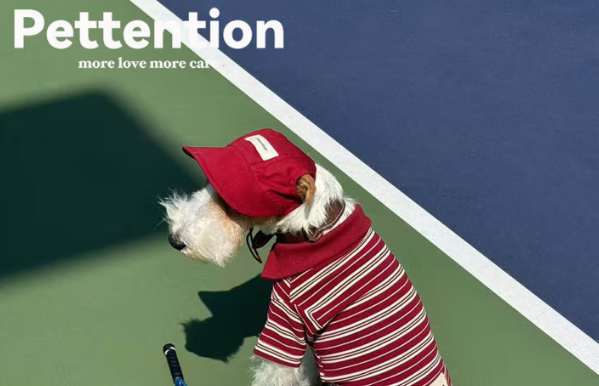 Pettention宠物背心在哪里买