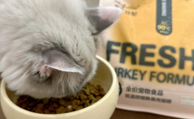 宠悠悠猫粮安全吗
