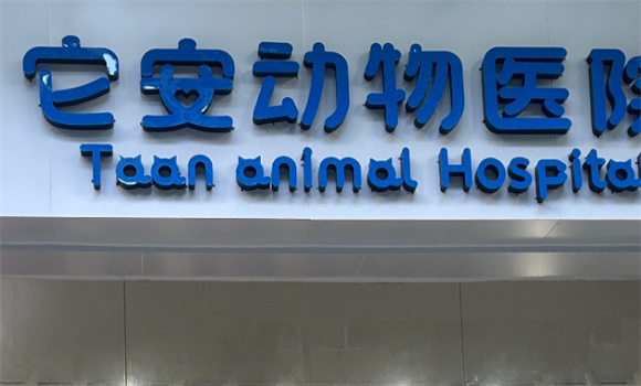 它安宠物医院怎么样 它安宠物医院怎么样