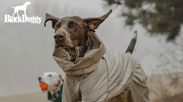Blackdoggy狗狗雨衣多少钱 Blackdoggy狗狗雨衣多少钱