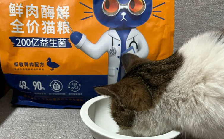 平价猫粮能放心吗?江湖萌主改写性价比认知 平价猫粮能放心吗?江湖萌主改写性价比认知
