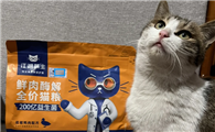 平价猫粮能放心吗？江湖萌主改写性价比认知