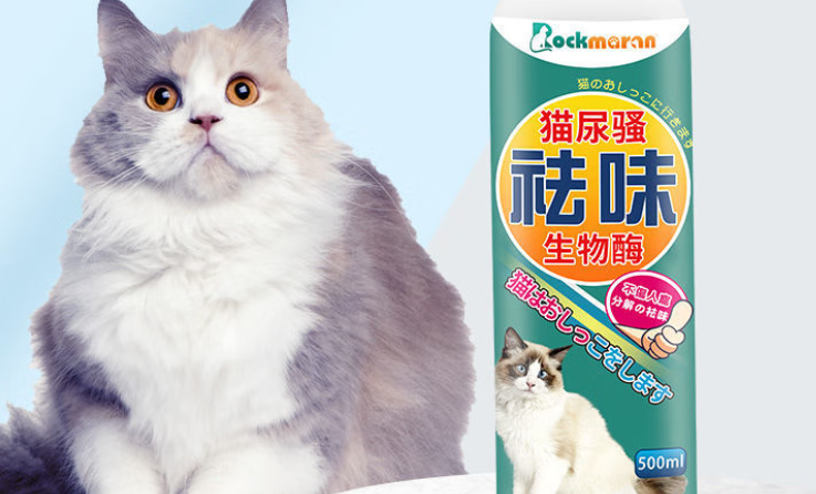 宠物祛味喷雾有用吗？Rockmaran生物酶技术破解祛味难题