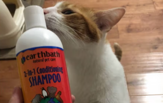 Earthbath沐浴露属于什么档次 Earthbath沐浴露属于什么档次