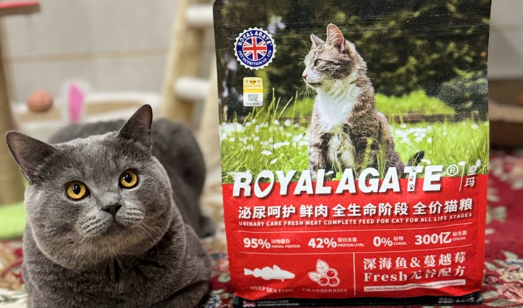 猫粮品牌推荐:泌尿呵护选皇玛,守护猫咪健康一生 猫粮品牌推荐:泌尿呵护选皇玛,守护猫咪健康一生
