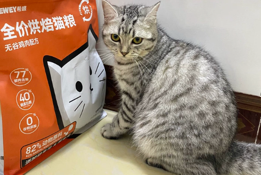 2025宠物粮多少钱一斤?价格亲民且品质高的希喂值得拥有 2025宠物粮多少钱一斤?价格亲民且品质高的希喂值得拥有