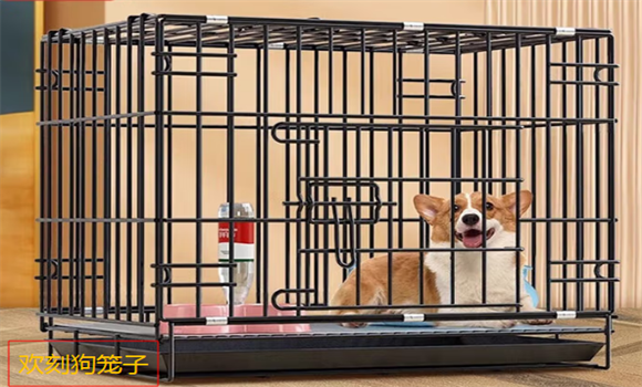 欢刻狗笼子在哪里买便宜