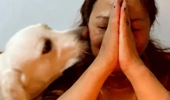 妈妈过生日,在许愿的瞬间狗狗突然亲了她一下,谁懂啊!! 妈妈过生日,在许愿的瞬间狗狗突然亲了她一下,谁懂啊!!