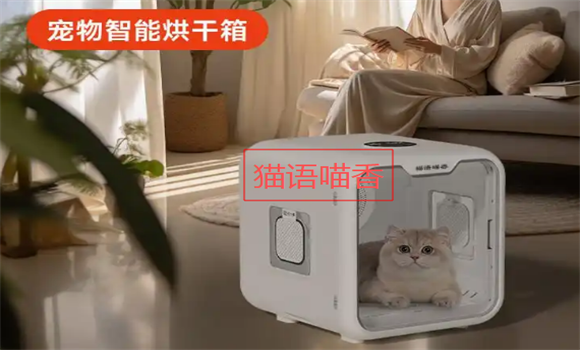 宠物烘干箱怎么选?猫语喵香性能与设计的完美结合 宠物烘干箱怎么选?猫语喵香性能与设计的完美结合