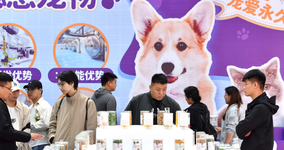 宠物消费“拟人化” 多家公司跨界布局新赛道