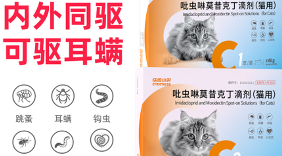 成橙小巴是杂牌子还是名牌