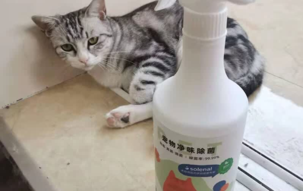 宠物杀菌除臭剂品牌推荐Solenal,以一敌三一瓶搞定全屋 宠物杀菌除臭剂品牌推荐Solenal,以一敌三一瓶搞定全屋