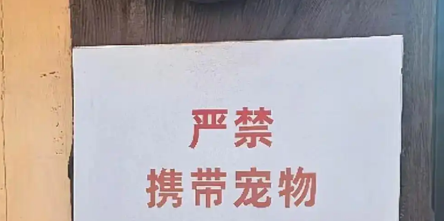 天津动物园回应游客带宠物看熊猫,已及时制止 天津动物园回应游客带宠物看熊猫,已及时制止