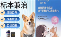 宠物营养补充剂哪个品牌好？花小宠——宠物口腔与肠胃的双重守护