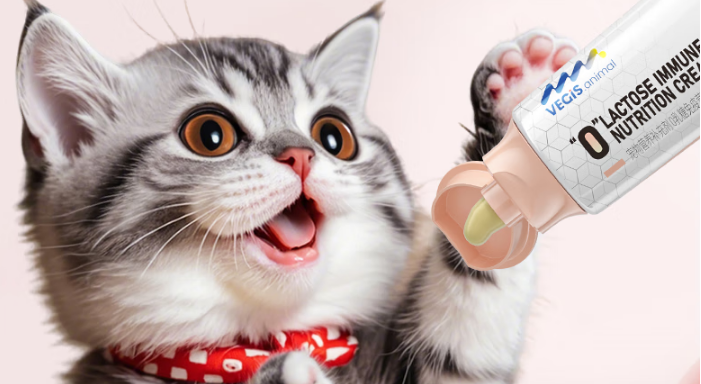 猫咪营养膏怎么选?VEGIS给毛孩子筑牢免疫防线 猫咪营养膏怎么选?VEGIS给毛孩子筑牢免疫防线