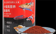直隶戏水轩：鱼饲料怎么选择？斗鱼专属喂养方案看这里