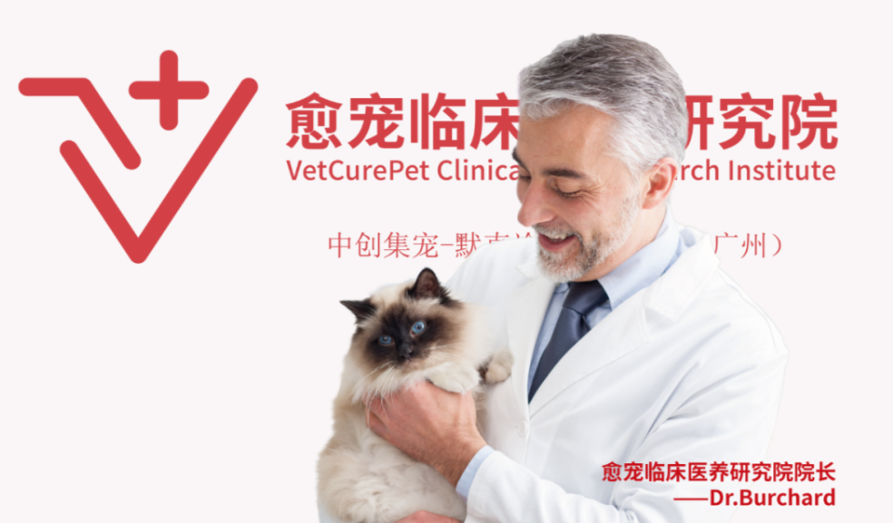 怎样管理宠物健康问题?中创集宠带来全周期健康管理蓝图 怎样管理宠物健康问题?中创集宠带来全周期健康管理蓝图