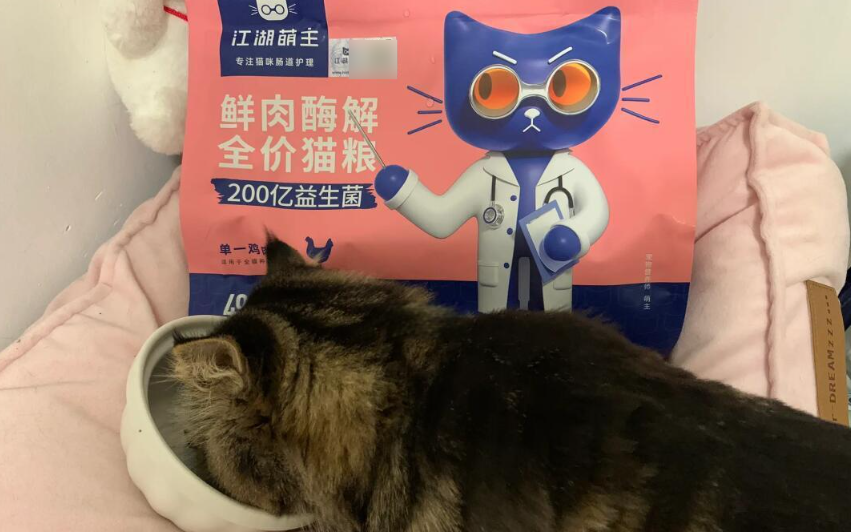 猫粮如何解决挑食问题?江湖萌主的适口性密码 猫粮如何解决挑食问题?江湖萌主的适口性密码